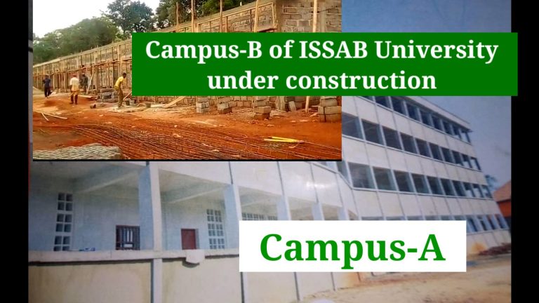 Read more about the article Les travaux de construction du Campus-B de l’Université ISSAB sont en cours